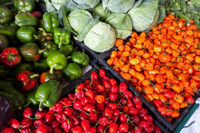 WHY ORGANIC FARMING IS EMPOWERING FARMERS AND BUILDING CLIMATE RESILIENCE IN KENYA