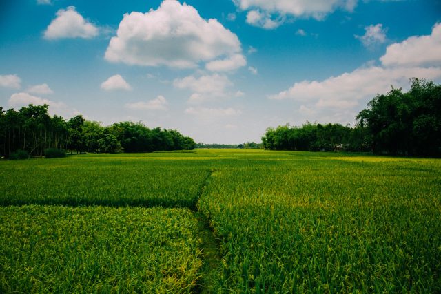 THINKING OF LEASING FARMLAND IN 2025? HERE’S WHAT FARMERS SHOULD KNOW FIRST
